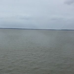 Meet your Posher, Carly